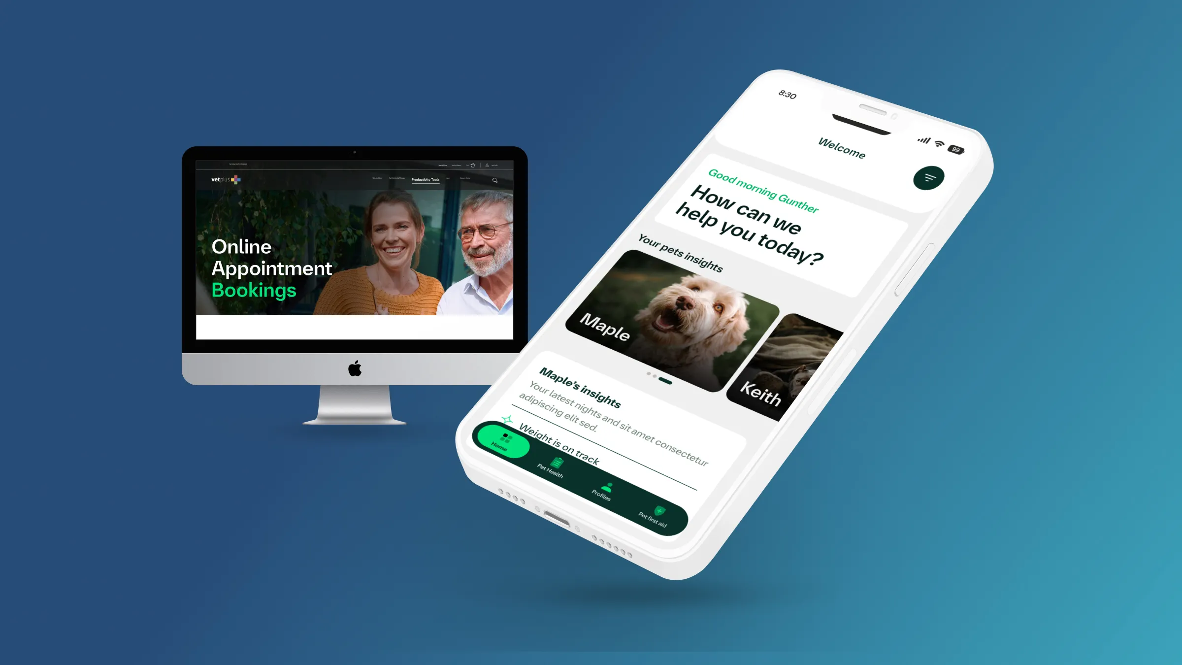 Boehringer Ingelheim: Pet Health Platform case study overview