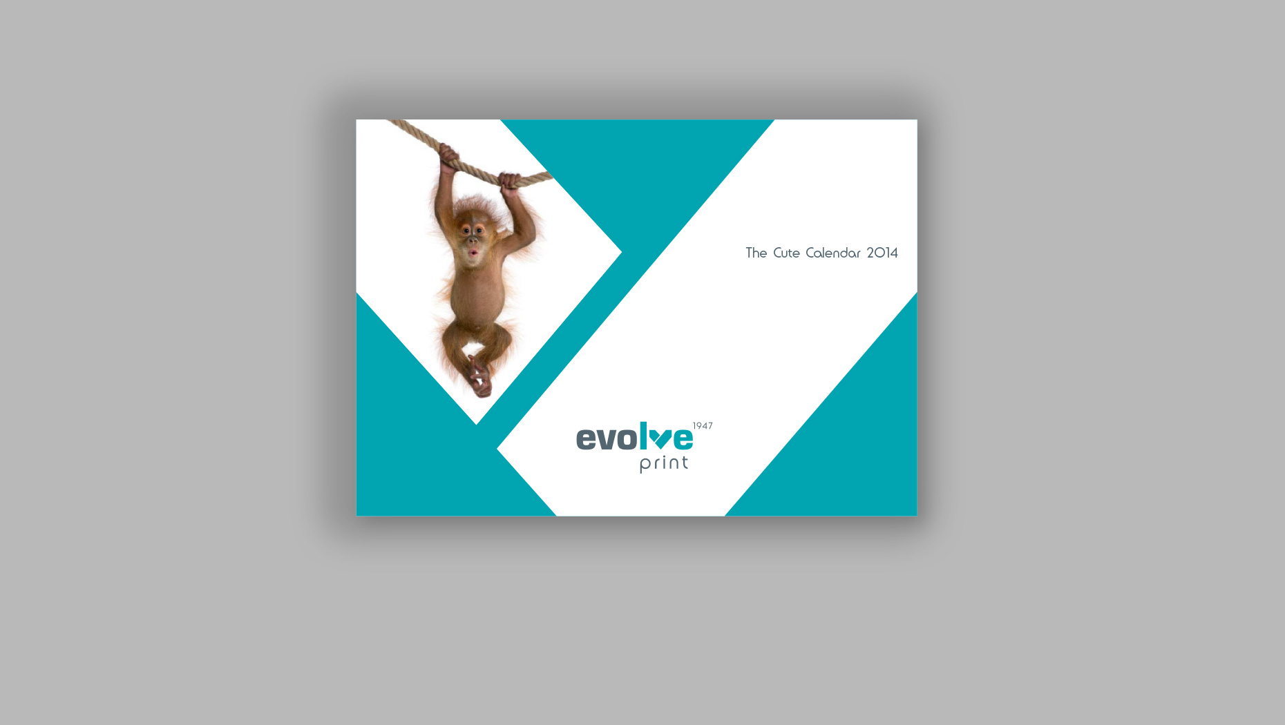 Evolve Print promotional design